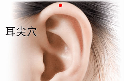 耳尖穴准确穴位图和作用